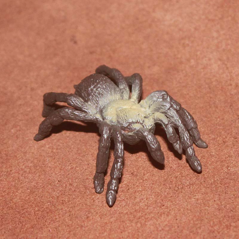safari chính hãng số lượng lớn mô phỏng động vật côn trùng mô hình đồ chơi nhện độc - Đồ chơi gia đình