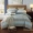 Bộ bông bốn mảnh Bắc Âu Bộ đồ giường 1,8m đơn giản đôi chà nhám dày tấm bông - Bộ đồ giường bốn mảnh