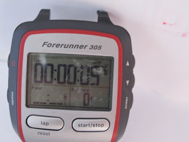 forerunner 205