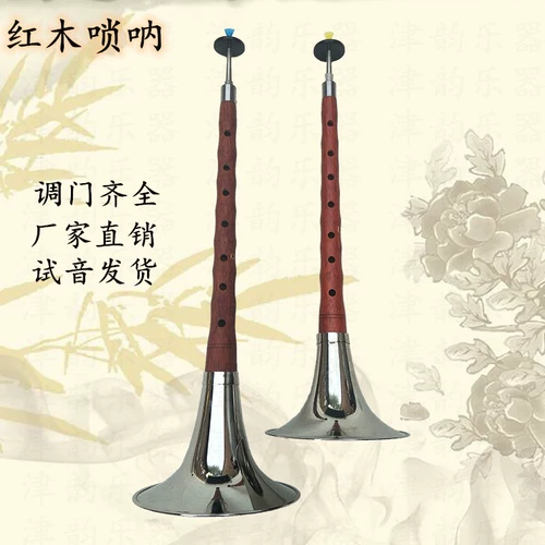 Музыкальные инструменты для детей и взрослых для начинающих, маленький медный мегафон для школьников, полный комплект