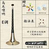 E настроил [9 Whistle+4 подарка]