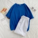 T927 Royal Blue+D109 White