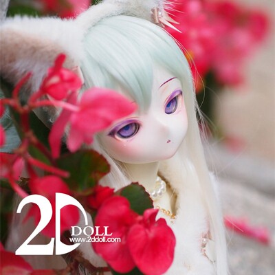 taobao agent BJD-2D men and women 1/4 cold (SD doll similar genuine) 2DDOLL cartoon face human figure