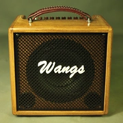 WANGS AC60 acoustic guitar loa chơi hộp điện acoustic guitar cụ loa
