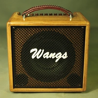 WANGS AC60 acoustic guitar loa chơi hộp điện acoustic guitar cụ loa loa lg pk3