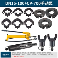 DN15-100+CP-700 насос