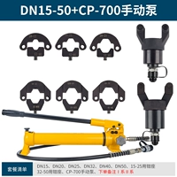 DN15-50+CP-700 насос