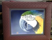 12 -INCH Серебряный край розовый