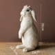 Положение на стоянке кролика