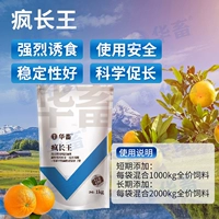 Свинья, крупный рогатый скот и овцы, оплодотворяются