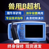 Beast B -uultrasound Pig -B -uultrasound Высокопроизводительный с высоким содержанием экрана, скот и овец с B -ультразвуковым Ультразвуковым Ультразвуковым Ультразвуковым Тестерами Инструмент диагностики