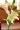 Trang chủ phụ kiện 2 nước hoa lily nhân tạo hoa trang trí phòng khách hoa giả hoa hoa Phòng ngủ trưng bày hoa đơn - Hoa nhân tạo / Cây / Trái cây