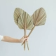 Из сандалового дерева, маленький, 3 штук
