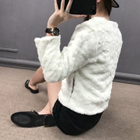 Haining 2018 mùa thu và mùa đông Hàn Quốc phiên bản mới giả lông nữ ngắn áo lông thú giả 獭 lông thỏ dài tay lông giải phóng mặt bằng áo da cổ lông