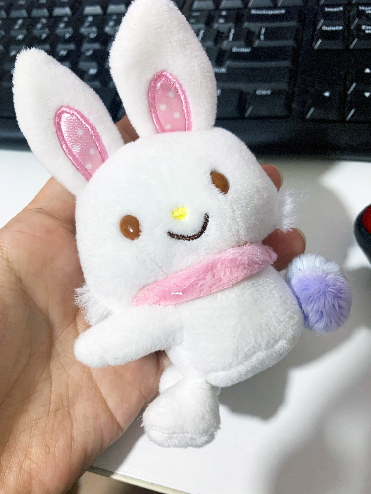 Wish Rabbit WhiteDaily list Sanrio frog melody Cool Penguin kitty Kulomi PC dog Plush doll Hug Clip
