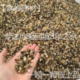 Земные тепловые соевые камни возвращаются, чтобы заполнить Jiaxing Tongxiang, Huzhou Deqing Zhuji, di Nianda Shaoxing Hangzhou сцена и заполните с фанатиком Beansen