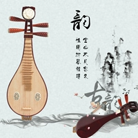Бесплатная доставка Аутентичная инструмент Liuqin Pure ручной работы с твердым деревом Flower Liuqin Professional National Performance Игрование инструмента