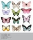 Цвет (PVC Butterfly 32 фото/коробка) Смешанный размер