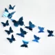 12 зеркала синей бабочки 12