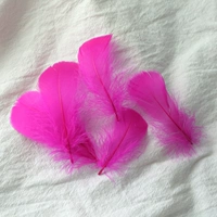 Роза красная