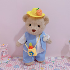Одежда для животных 原创手作teddytales莉娜熊手工毛绒泰迪熊衣服30cm换装着替幼稚园