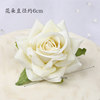 Milk white rose