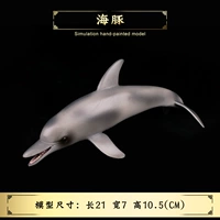 Новый открытый большой дельфин (светлый цвет)