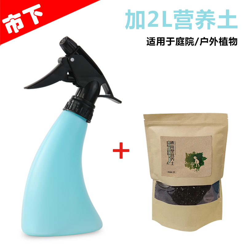 Ox Horn Pot With Nutrient SoilMarket licensing  3L hold Spout belt Safety valve gardening Sprayer Air pressure type disinfect household