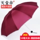 Красный винил 1-2 человека зонтик