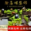 Товары от 草韵水族