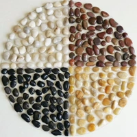 50 диаметров круглых прозрачных четырехлетных четырехлетних узких моделей