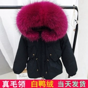 Zhou Dongyu 姗姗 cùng một đoạn dày xuống áo khoác nữ phần ngắn lớn cổ áo lông thú Hàn Quốc Dongdaemun eo áo khoác chống triều mùa