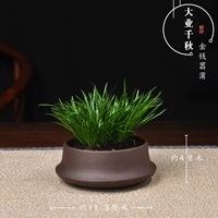 (Фиолетовая грязь) деньги