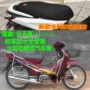 Vỏ đệm xe máy Longxin cong chùm E thế hệ Tianxi LX110-3K lưới tổ ong chống nắng thoáng khí bọc ghế - Đệm xe máy da yên xe máy	