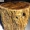 Táo tàu gỗ gỗ rắn gỗ gốc khắc nghệ thuật bàn trà phù hợp với các bộ phận ba trăm năm đặc biệt gốc hoa đứng trụ giày băng ghế - Các món ăn khao khát gốc