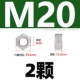 M20 [1 капсула] 321 материал