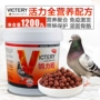 	cám cho chim chào mào non	 Hannover Pigeon bách khoa toàn thư thuốc Pigeon Young Pigeon Pill Pigeon Liwang Brooding Bao Pill Young Pigeon Strong Nutrition Pill Tăng trưởng bổ sung 	cám cho chim khướu	