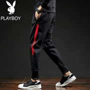 Playboy quần âu nam triều Hàn Quốc mùa đông quần thể thao ấm áp quần nam chân quần sọc quần - Quần mỏng