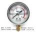 Chính hãng Thượng Hải Yichuan YN60-1.6MPa máy đo áp suất địa chấn máy đo áp suất dầu máy đo thủy lực máy đo áp suất nước máy đo địa chấn 