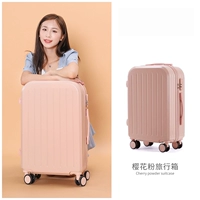 Sakura Peord Single Box [Бесплатный подарочный пакет, если вы покупаете]