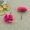 DIY mô phỏng hoa lụa hoa cúc handmade vòng hoa phụ kiện tóc rơm mũ nón vật liệu kẹo hộp phụ kiện 3cm - Phụ kiện tóc dây buộc tóc hot nhất hiện nay