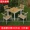 Ban công phong cách châu Âu đồ nội thất giải trí ngoài trời bàn ăn bằng gỗ nhựa và ghế ngoài trời kết hợp hiện đại tối giản sân vườn bộ 5 - Bàn ghế ngoài trời / sân
