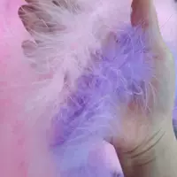 Фабрика прямой продажи цвета дополнительная запас различных стилей больших перьев, батончиков с индейкой, горячей продажи