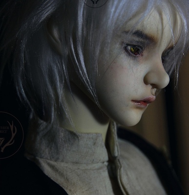 taobao agent [ANS] Baby-】 2018 1/3bjd doll Another Secret signature card
