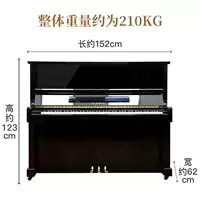 Đàn piano nhà chuyên nghiệp đàn piano bl12 61 bl71 đàn piano nhà mới bắt đầu - dương cầm piano casio