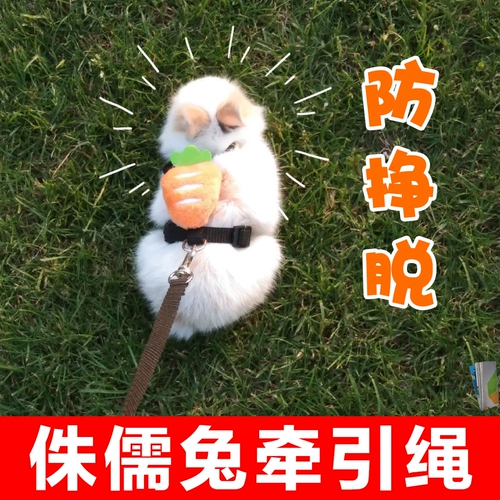 Четырех -летящий магазин девять цветных карликов кроличьей тяги супер маленькой анти -беззалушки для кролика Специальная одежда