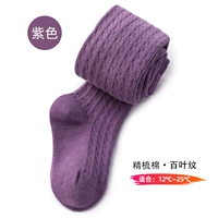 12-25 ° C пружина и осенняя (цветение) таблетки Pantal Purple Purple [одиночная установка]