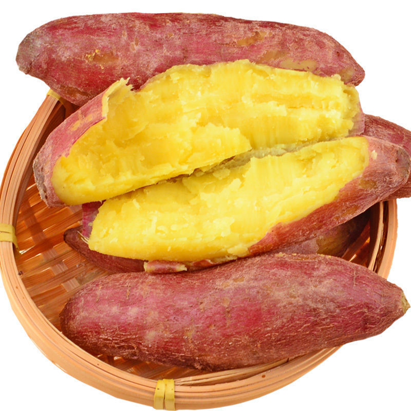 板栗红薯新鲜农家黄壤地瓜