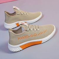 D05 Цвет карты