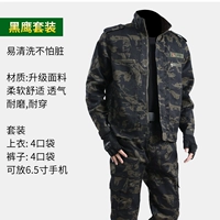 Камуфляжный комплект, черный орел